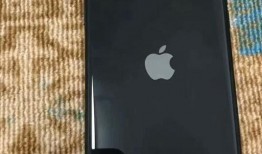 苹果11最新爆料缺点,揭秘五大潜在缺点与不足